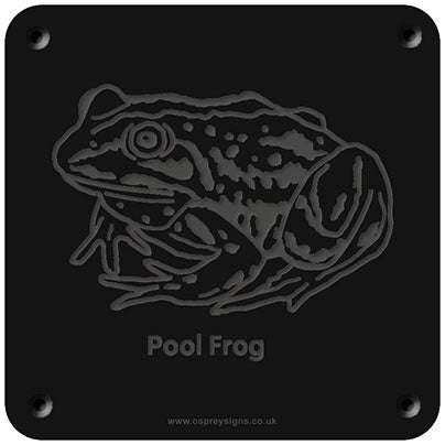 'Pool frog' rubbing plaque