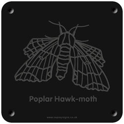 'Poplar hawk moth' rubbing plaque