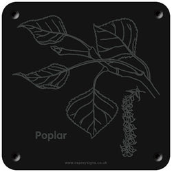 'Poplar' rubbing plaque
