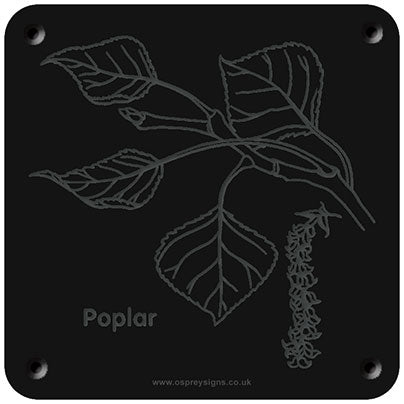 'Poplar' rubbing plaque