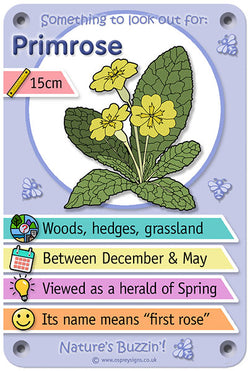 Nature's Buzzin' 'Primrose'