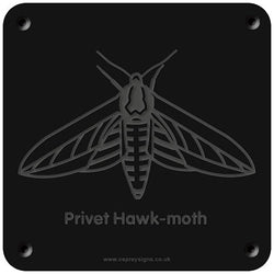 'Privet hawk moth' rubbing plaque