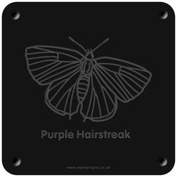 'Purple hairstreak' rubbing plaque