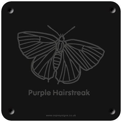 'Purple hairstreak' rubbing plaque