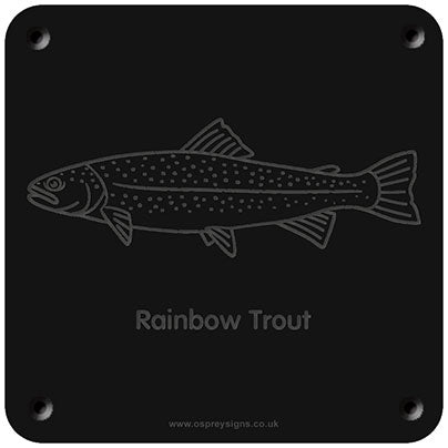 'Rainbow trout' rubbing plaque