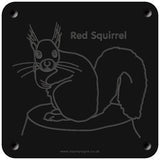 'Red squirrel' rubbing plaque
