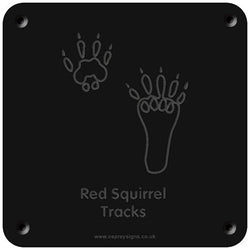 'Red squirrel tracks' rubbing plaque