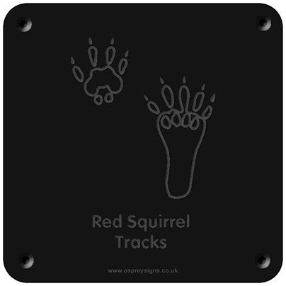 'Red squirrel tracks' rubbing plaque