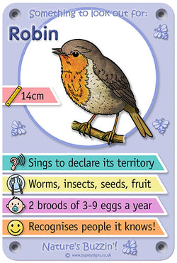 Nature's Buzzin' 'Robin'