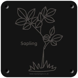 'Sapling' rubbing plaque