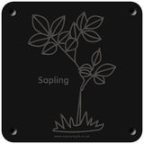 'Sapling' rubbing plaque