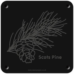 'Scots pine' rubbing plaque