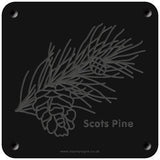 'Scots pine' rubbing plaque