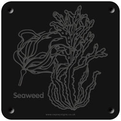 'Seaweed' rubbing plaque