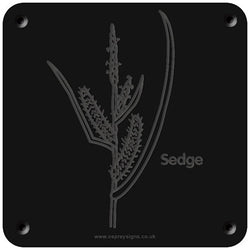 'Sedge' rubbing plaque