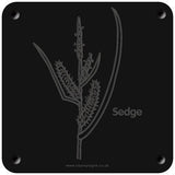 'Sedge' rubbing plaque