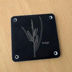 'Sedge' rubbing plaque