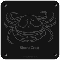 'Shore crab' rubbing plaque