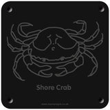 'Shore crab' rubbing plaque