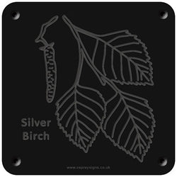 'Silver birch' rubbing plaque