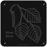 'Silver birch' rubbing plaque