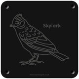 'Skylark' rubbing plaque