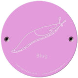 Rainbow Rubbing 'Slug'