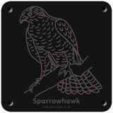 'Sparrowhawk' rubbing plaque