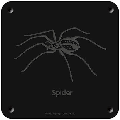 'Spider' rubbing plaque