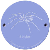 Rainbow Rubbing 'Spider'