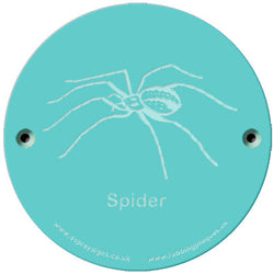 Rainbow Rubbing 'Spider'