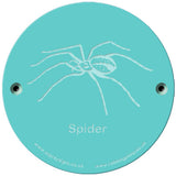 Rainbow Rubbing 'Spider'