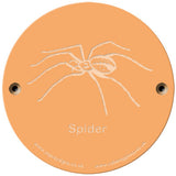 Rainbow Rubbing 'Spider'