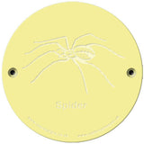 Rainbow Rubbing 'Spider'