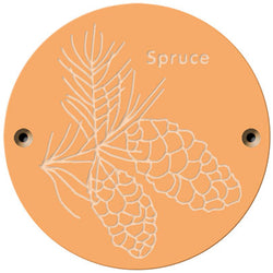 Rainbow Rubbing 'Spruce'