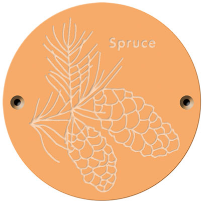 Rainbow Rubbing 'Spruce'
