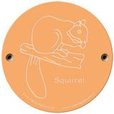 Rainbow Rubbing 'Squirrel'