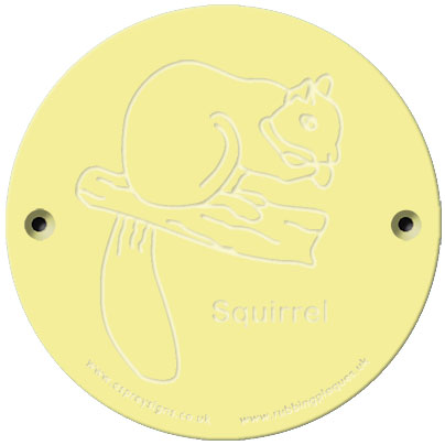 Rainbow Rubbing 'Squirrel'
