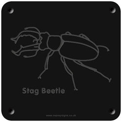 'Stag Beetle' rubbing plaque