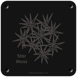 'Star moss' rubbing plaque