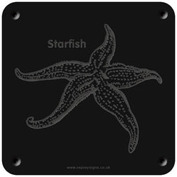 'Starfish' rubbing plaque