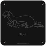 'Stoat' rubbing plaque