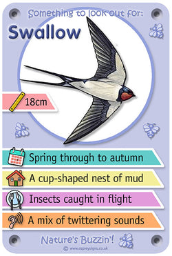 Nature's Buzzin' 'Swallow'