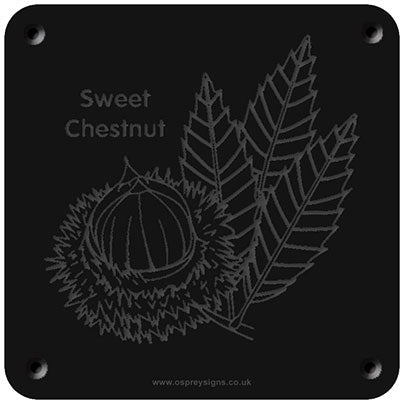 'Sweet chestnut' rubbing plaque