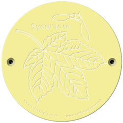 Rainbow Rubbing 'Sycamore'