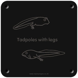 'Tadpoles with legs' rubbing plaque