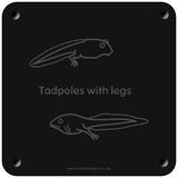 'Tadpoles with legs' rubbing plaque