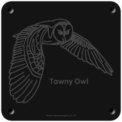 'Tawny owl' rubbing plaque