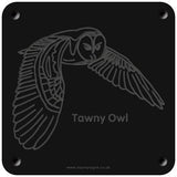 'Tawny owl' rubbing plaque