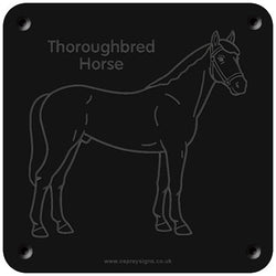 'Thoroughbred horse' rubbing plaque